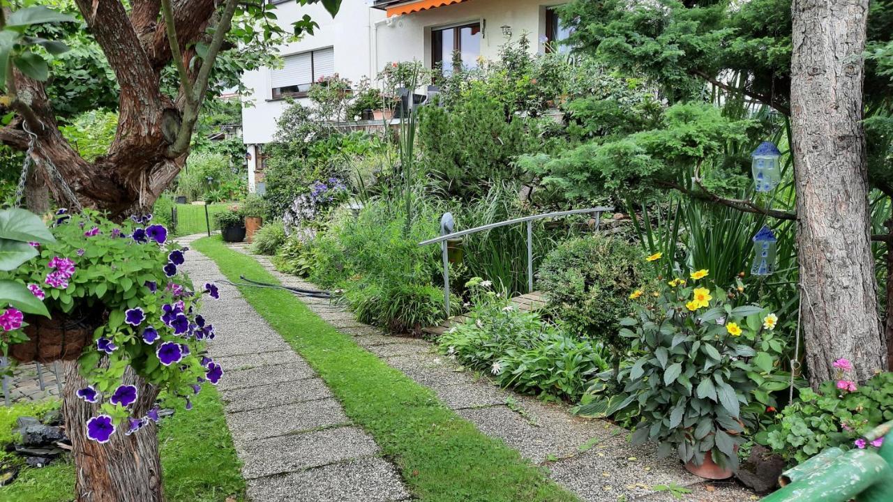 Am Teich Apartment Kamp-Bornhofen Bagian luar foto